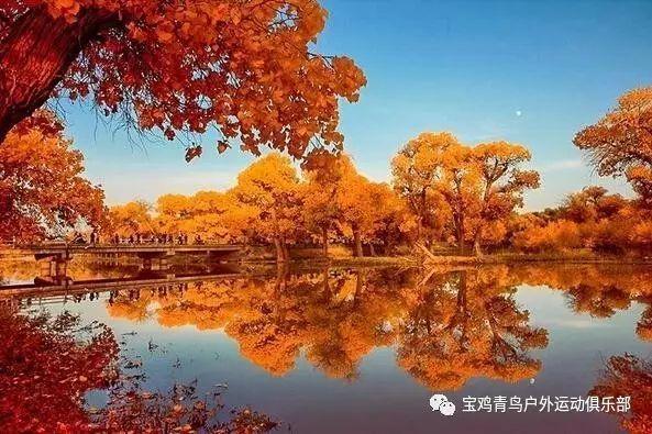 父母经常打架吵架，现在快离婚了，我要怎么办？游戏画面