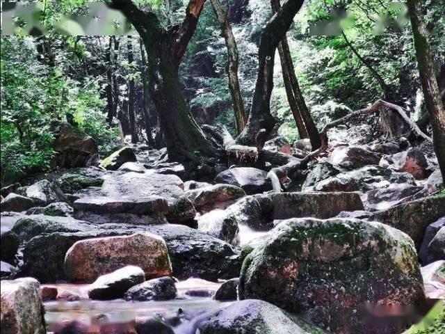 “咖”位满满!云南小粒咖啡走出山乡 勇闯大世界