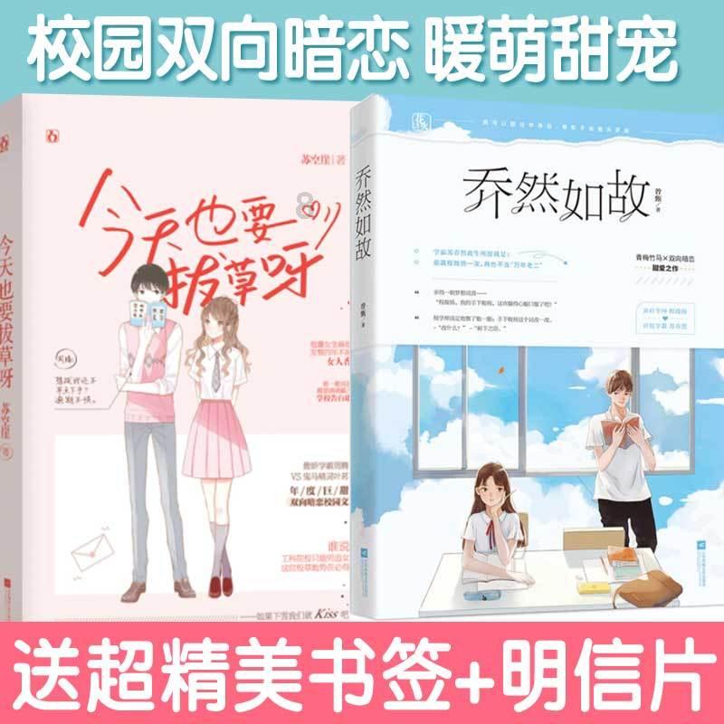 生化危机：浣熊市行动